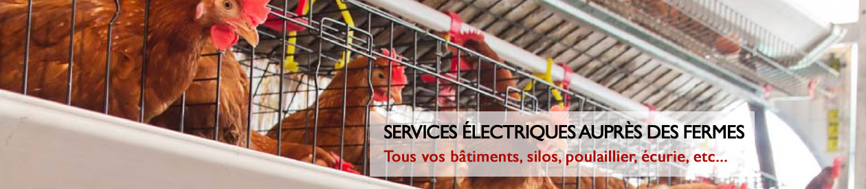 bylex-electrique-service-agricole-3