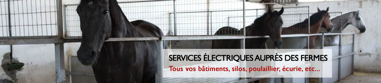 bylex-electrique-service-agricole-2