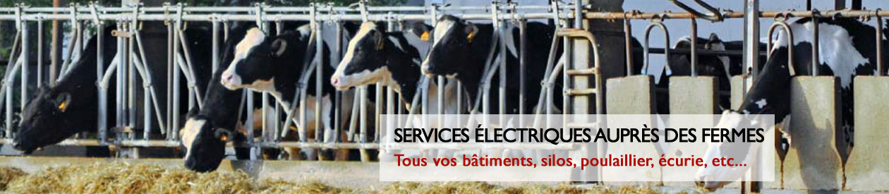bylex-electrique-service-agricole-4